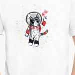 Кот в космосе