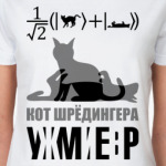 Котэ Шрёдингера