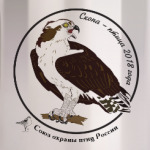 Скопа - птица 2018 года