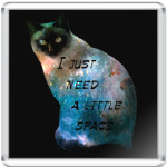 Котик космический