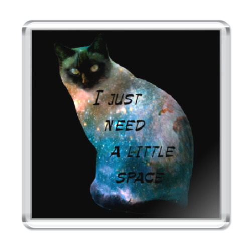 Магнит Котик космический