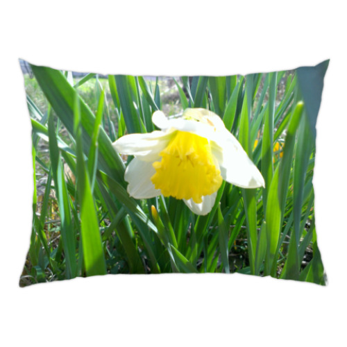 Подушка с принтом Солнечный нарцисс