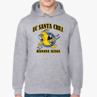 uc santa cruz banana slugs