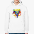 Толстовка худи