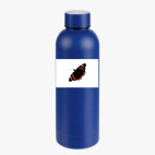 Термобутылка