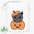 Pumpkin Cat
