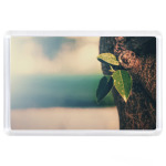 Кора дерева