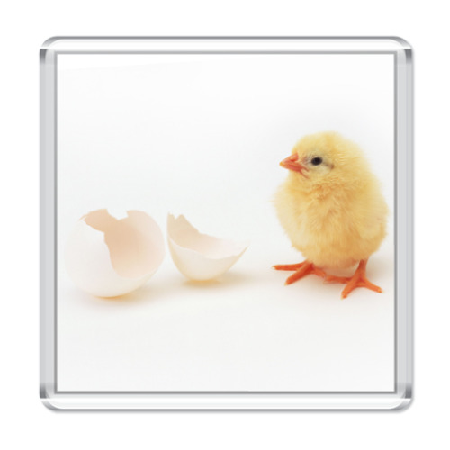 Магнит с принтом Цыпленок