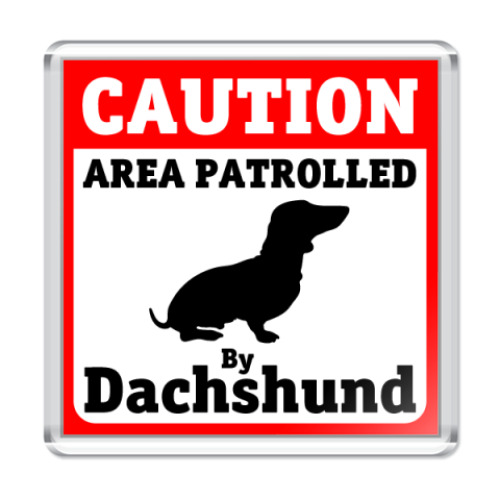 Магнит с принтом Caution