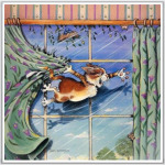  кошак на занавеске