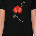 Цветок орхидея