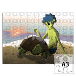  'Черепаха и хроноп'