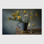 Ромашки и пупавки