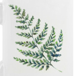 Папоротник