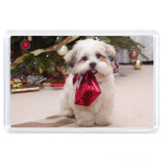 Собака с подарком