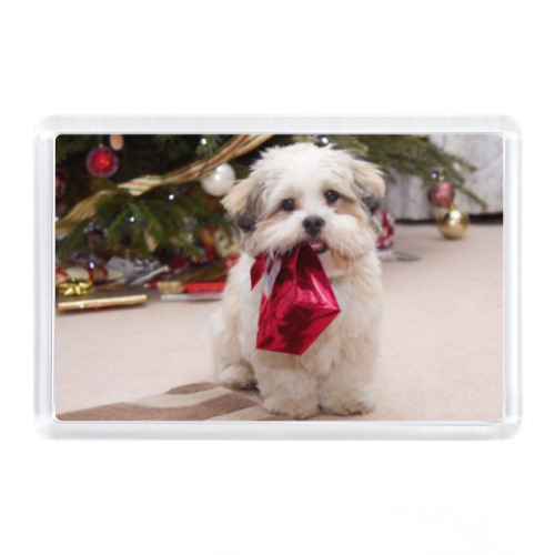 Магнит с принтом Собака с подарком