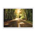 Дорога в лесу