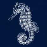 Морской Конек