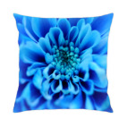 Летние цветы