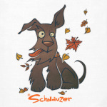 Осенний шнауцер