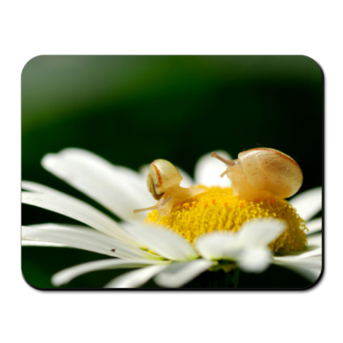 Коврик для мыши с принтом улитки