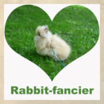 Любитель кроликов