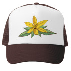 Цветок Иланг-иланг