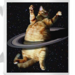 Космический кот