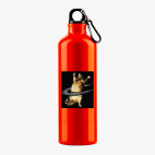 Металлическая бутылка 700 мл UV-DTF