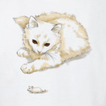 кошки-мышки