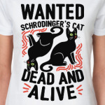 Кот Шрёдингера