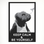 смешная обезьяна (Keep Calm)