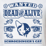 Кот Шрёдингера