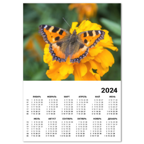 Календарь Бабочка на цветке