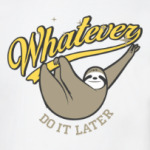 Whatever Do It Later !