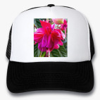 Кепки Trucker