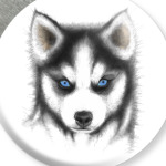 Сибирский хаски Siberian husky