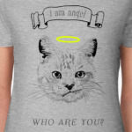 Кот ангел с нимбом над головой