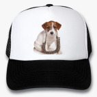 Кепки Trucker