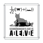 Котэ Шрёдингера
