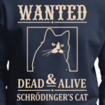 Кот Шрёдингера