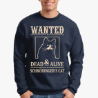 Свитшот Кот Шрёдингера