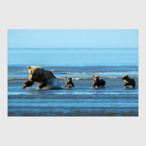 Постер с принтом Медведи