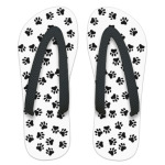 Кошачьи следы