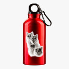 Металлическая бутылка 400 мл UV-DTF