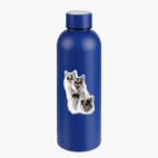 Термобутылка