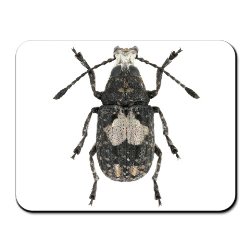 Коврик для мыши с принтом Жук ложнослоник