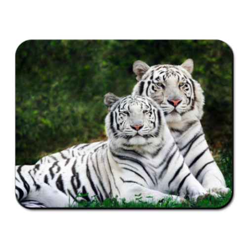 Коврик для мыши с принтом  Bengal Tiger