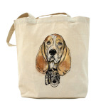 Собака - Бассет хаунд