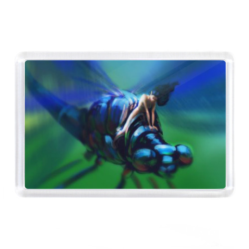 Магнит с принтом Стрекоза